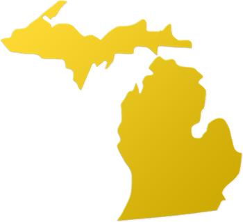  image of Specialist Outline Map